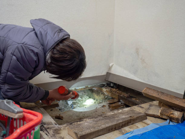 Dehumidification Services in Nazareth, PA