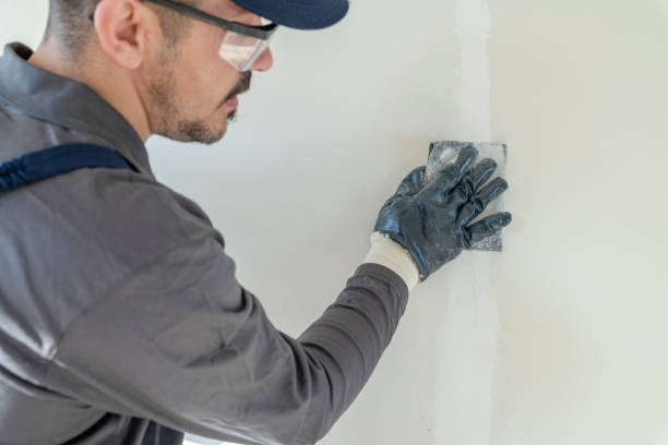 Best Black Mold Removal  in Nazareth, PA