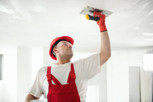Mold Remediation for Rental Properties in Nazareth, PA
