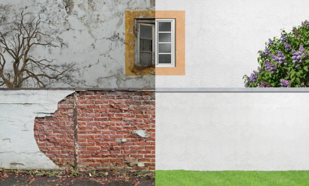 Best Mold Prevention Services  in Nazareth, PA